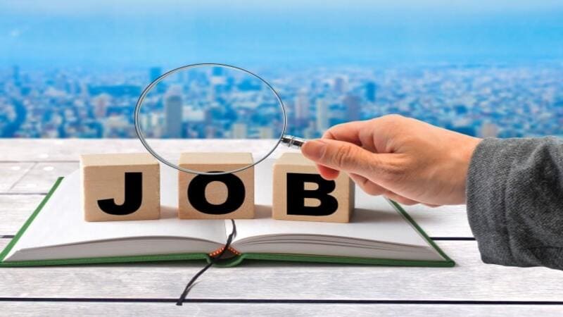 就活支援サービスの内容